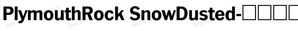 PlymouthRock SnowDusted字体转换